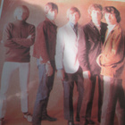 The Rolling Stones: play with fire LP - pikkukuva 2