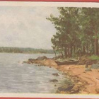 Toppelius Vene rannassa - pikkukuva 1