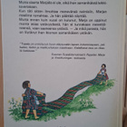 Pappilan Marjan ystävyysliitto - pikkukuva 3