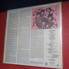THE MISUNDERSTOOD - BEFORE THE DREAM FADED M-/M- LP - pikkukuva 2