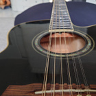 Ibanez AEL2012 - pikkukuva 4