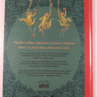 Meri Korpela : Pähkinätäräys - pikkukuva 2