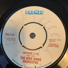 MIKE GIBBS ORCHESTRA: Nairam * Antique. * UK 1975 - pikkukuva 2