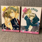 ORDINARY CRUSH (OSAT 1 & 2) YAOI MANGA , ENGL. - pikkukuva 1