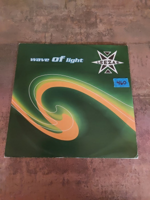 Leeza B. - Wave Of Light
