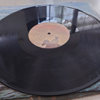 Carole King - Thoroughbred (LP 1975) - pikkukuva 3