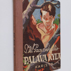 T. W. Paavonkallio : Palava kylä : seikkailukertomus 30-v... - pikkukuva 1