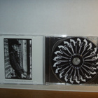 Teddy Morgan And The Pistolas CD Lost Love And Highways - pikkukuva 4