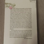 Suetonius Rooman keisarien elämäkertoja - pikkukuva 2