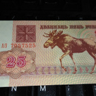 Belarus Valko-Venäjä 25 Rbl 1992 UNC - pikkukuva 1
