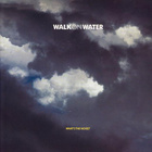 WALK ON WATER :: WHAT'S THE NOISE ? :: VINYYLI 7" 1989 - pikkukuva 1