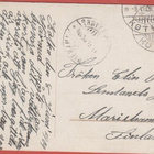 Tyttö ja kukat - kulk v 1908 - pikkukuva 2