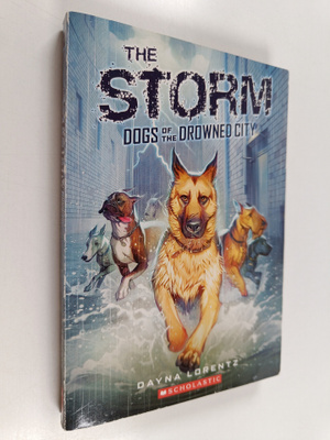 Dayna Lorentz : The Storm