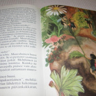 Elena Cepcekova Seikkailu niityllä - pikkukuva 3