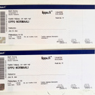 2 x Eppu Normaali Bolt-areena 6.6.2026. Jee & Jee -katsomo - pikkukuva 2