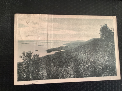Koli -16
