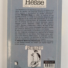 Gonzalo Carranza : Hermann Hesse para principiantes - pikkukuva 2