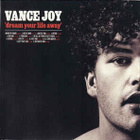 VANCE JOY - DREAM YOUR LIFE AWAY - pikkukuva 1