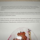 Muurikainen Kappasivai ja karhunpojat - pikkukuva 2