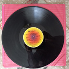 LP SIR DOUG & THE TEXAS TORNADOS - pikkukuva 5