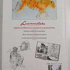 Judy Martin : Luonnostelu - pikkukuva 2
