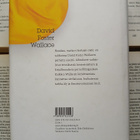David Foster Wallace - Hauskaa, mutta ei koskaan enää (sid.) - pikkukuva 3