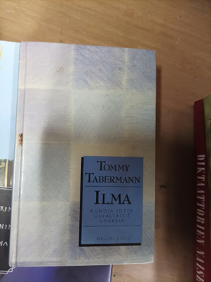Tommy Tabermann Ilma