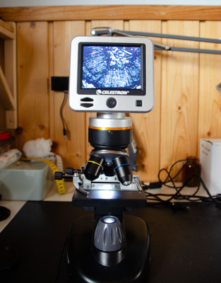 Celestron LCD II digitaalimikroskooppi + tarvikkeet