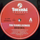 PEKKA TIILIKAINEN & BEATMAKERS: Used Guitars etc. * FIN 2018 - pikkukuva 3