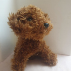 Nintendogs Koira Plus Luu - pikkukuva 2