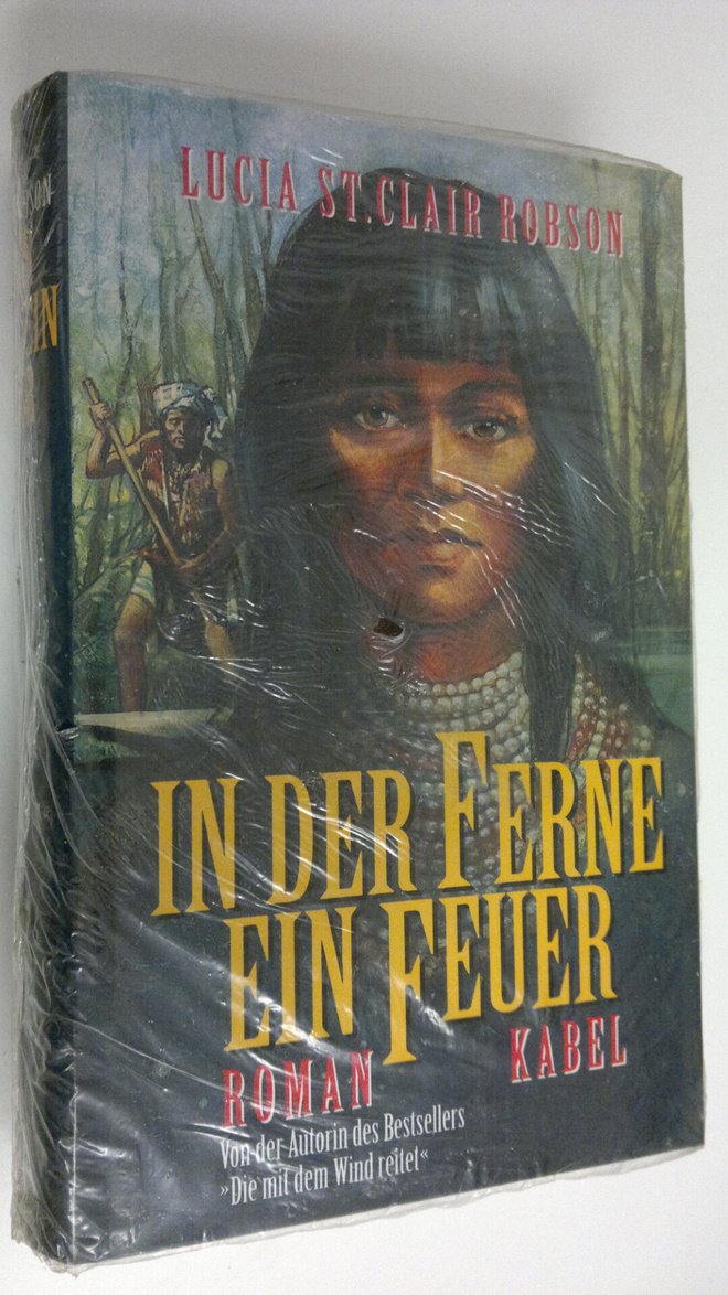 Lucia St. Clair Robson : In der Ferne ein Feuer : Roman