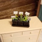 Nukkekoti miniatyyrit yrttilaatikko 1:12 - pikkukuva 2