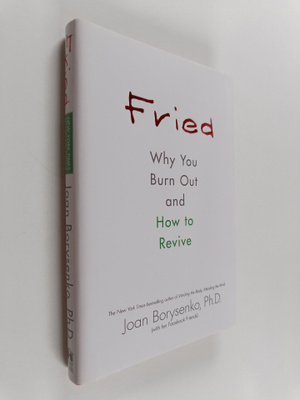 Joan Borysenko : Fried : Why You Burn Out and how to Revive