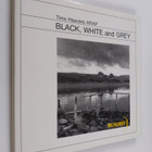 Timo Haavisto : Black, white and grey - pikkukuva 1
