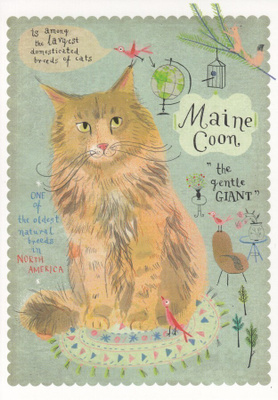 Marianna Sztyma: Maine coon -kissa (isohko kortti)