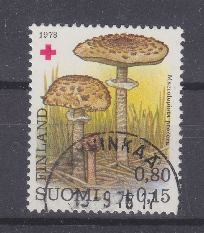 1978 PR 0.8 mk loistoleimaisena.