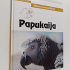 Papukaija - pikkukuva 1