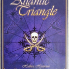 ATLANTIC TRIANGLE – Suomalainen kaupankäyntilautapeli 2010 - pikkukuva 1