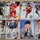 1990-91 ja 1991-92 Pro Set & 1991-92 Pro Set Platinum (NHL) - pikkukuva 3