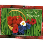 "°KESÄISET TERVEISET!"° -KORTTI / Karto (A&K.Noponen) - pikkukuva 1