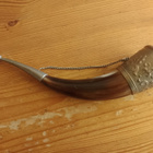 Sarvi - pikkukuva 2