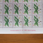 Postimerkkiarkki Tuberkuloosi 1983 Kukkia - 1,00 + 0,20m - pikkukuva 2