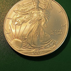 2007 American Silver Eagle One Dollar 1 OZ Fine Silver 31,1g - pikkukuva 1
