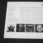 The Byrds Greatest Hits LP psych - pikkukuva 2