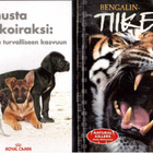 2 KPL DVD ELOKUVIA - pikkukuva 1