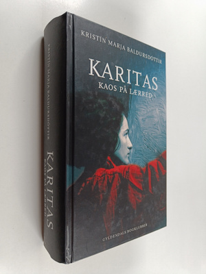 Kristin Marja Baldursdottir : Karitas : kaos på laerred