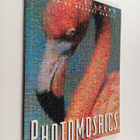 Robert Silvers : Photomosaics - pikkukuva 1