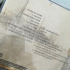 Blind Melon . The best of blind melon  CD - pikkukuva 2