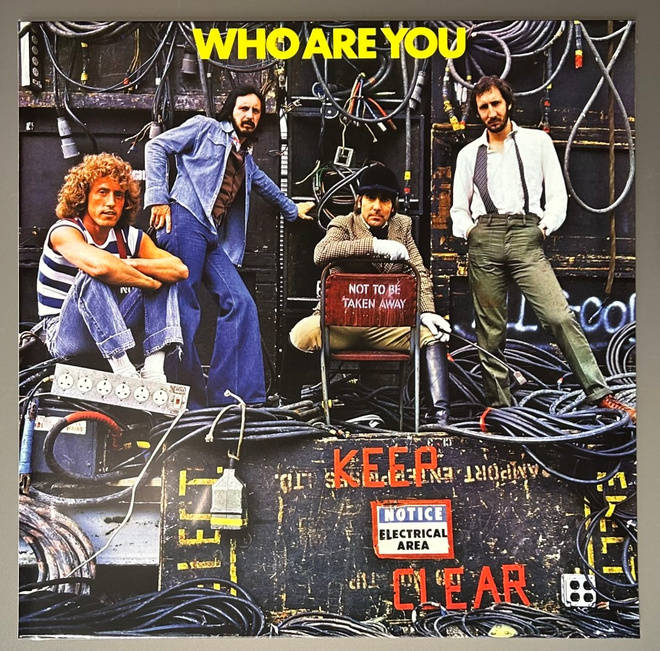 THE WHO: Who Are You - LP, uusi