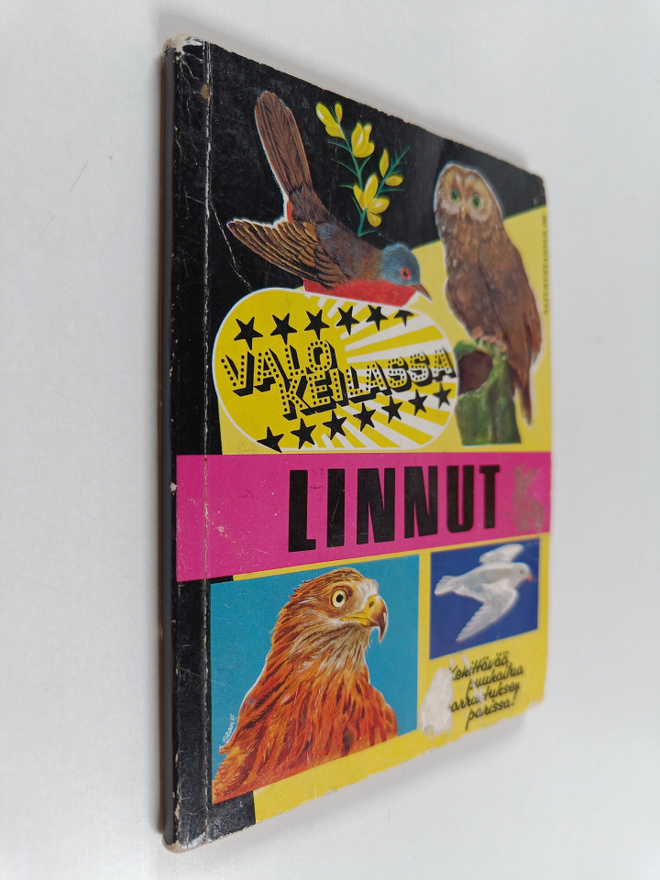 Valokeilassa linnut